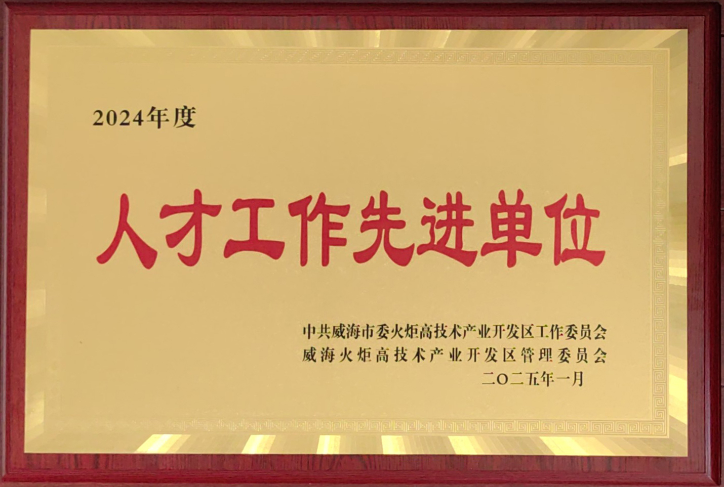 人才工作先进单位.jpg